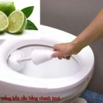 Cách tẩy trắng bồn cầu bằng chanh tươi