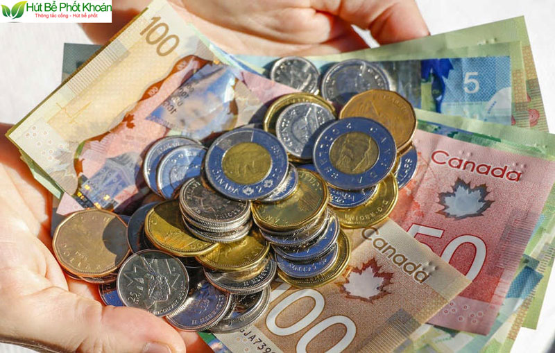 1 đô la Canada bằng bao nhiêu tiền Việt Nam?