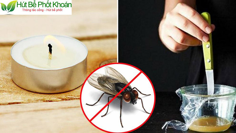 Bẫy tự chế cũng có thể giảm số lượng ruồi giấm một cách triệt để