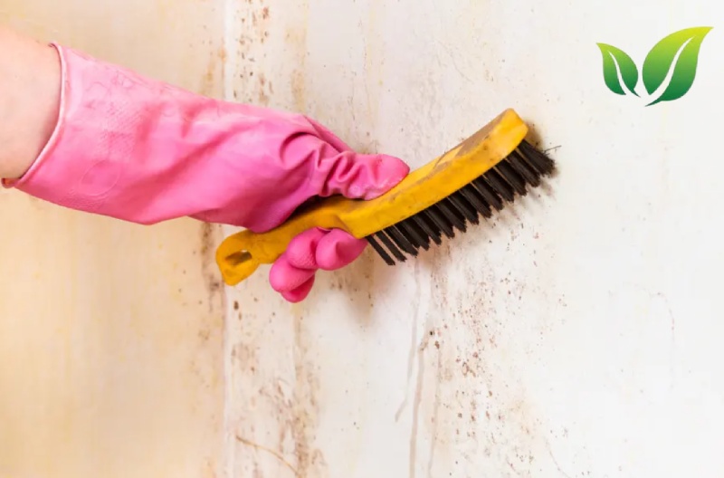 Cách làm sạch nhà tắm nhanh nhất cho các mẹ 7 Dùng dấm để làm sạch vết ố trên tường.