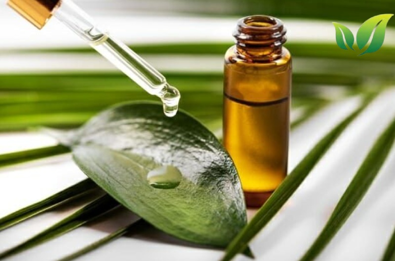 Cách làm sạch nhà tắm nhanh nhất cho các mẹ 6 Sử dụng tinh dầu trà.