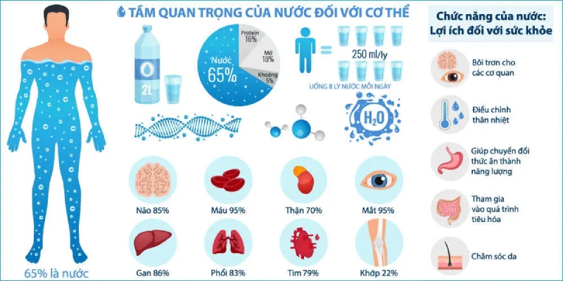 Tìm hiểu nước là gì? Tính chất và cấu tạo của phân tử nước 4 Vai trò của phân tử nước đối với cơ thể con người.