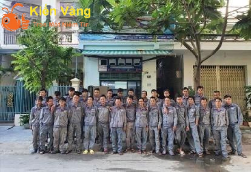 Hút bể phốt Yên Phụ Khoán - Không đục phá, Nhanh gọn, Giá rẻ 9 Đội ngũ thợ tay nghề cao, phục vụ hàng nghìn khách hàng.